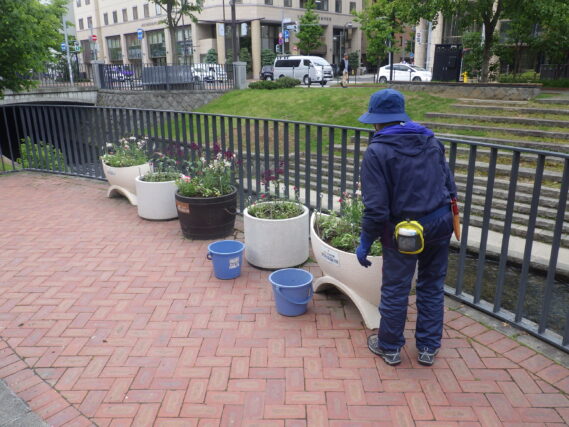 5月30日にコンテナ花壇のお手入れをする花くらぶ