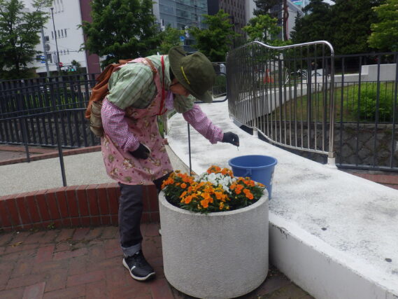6月13日にコンテナ花壇のお手入れをする花くらぶ