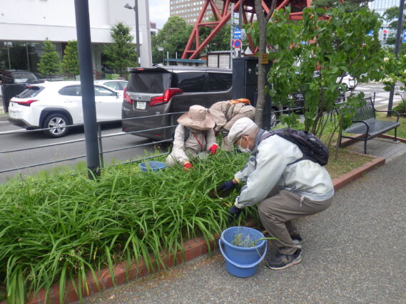 6月26日に花壇の除草をするお助け隊