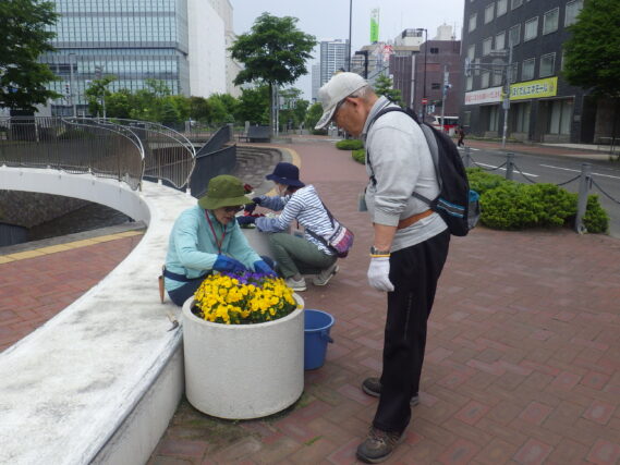 6月13日にコンテナ花壇のお手入れをする花くらぶ