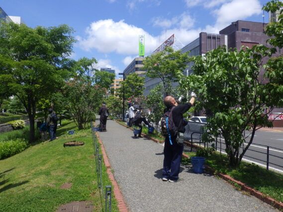 「今週の公園ボランティア」の画像