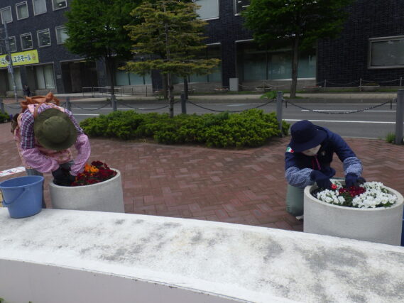 6月6日に花壇のお手入れをする花くらぶ