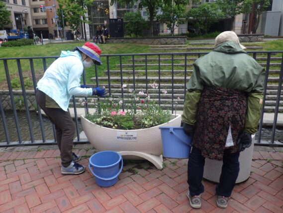 6月6日に花壇のお手入れをする花くらぶ