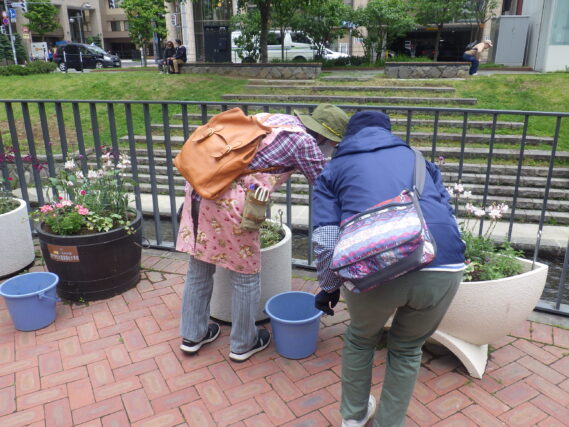 6月6日に花壇のお手入れをする花くらぶ