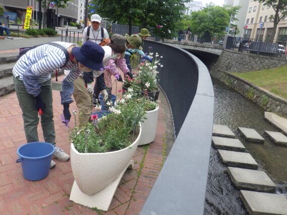 6月13日にコンテナ花壇のお手入れをする花くらぶ