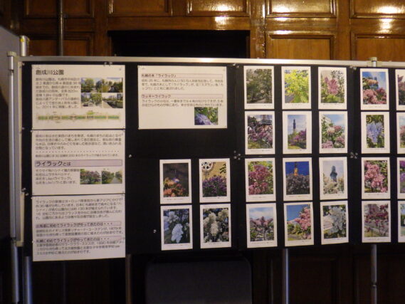 札幌市資料館で開催されたライラック写真展の様子