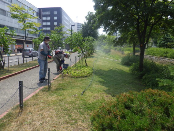 7月17日に灌水作業の手伝いをするお助け隊