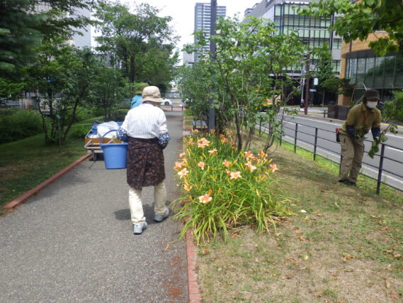ヘメロカリスの花がら摘みをする花くらぶ
