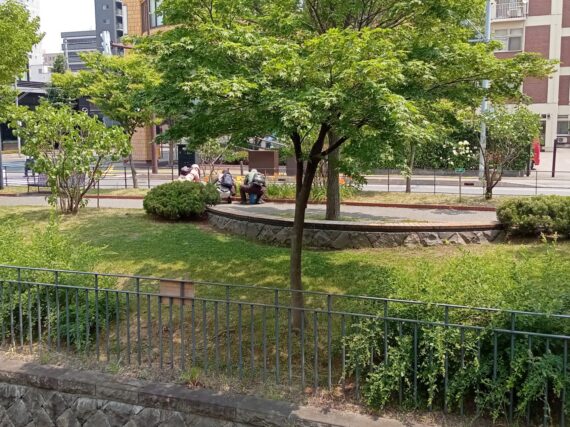 「今週の公園ボランティア」の画像