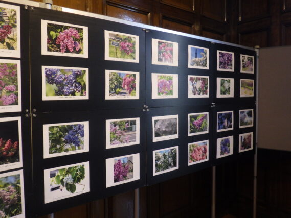 札幌市資料館で開催されたライラック写真展の様子