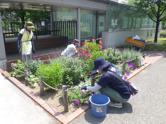 7月18日に花壇のお手入れをする花くらぶ