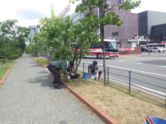 芝生の除草をする除草ボランティア