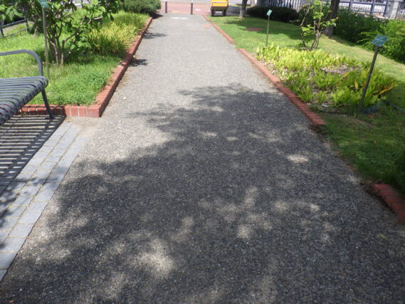除草されてきれいになった園路