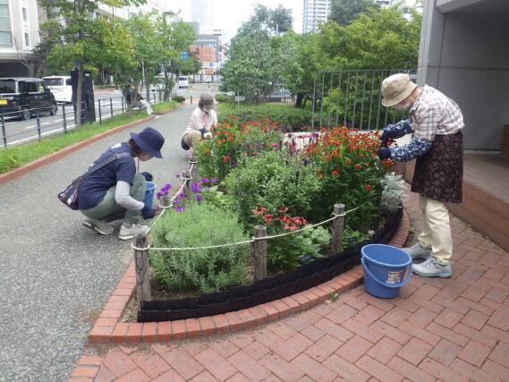 8月22日に花壇のお手入れをする花くらぶ