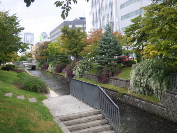 昨年の南1条のハギの様子