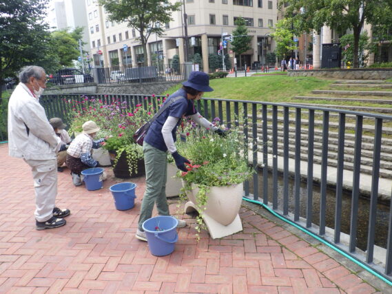 8月22日にコンテナのお手入れをする花くらぶ