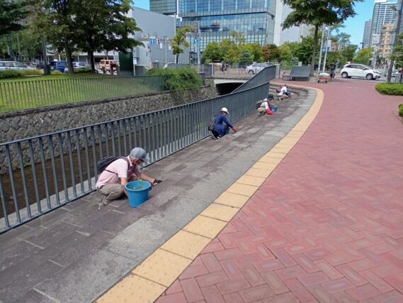 8月7日に階段広場の除草をするお助け隊