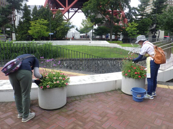 8月8日にまんなか広場コンテナのお手入れをする花くらぶ