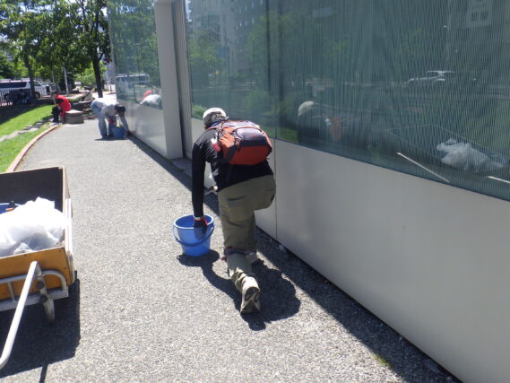 7月31日に園路の除草をするお助け隊
