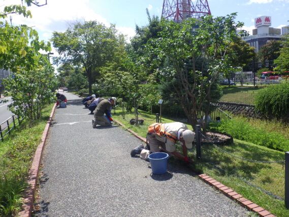 8月21日に園路の除草をするお助け隊