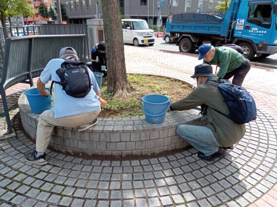 8月20日に円形ますの除草をする植物ボランティア