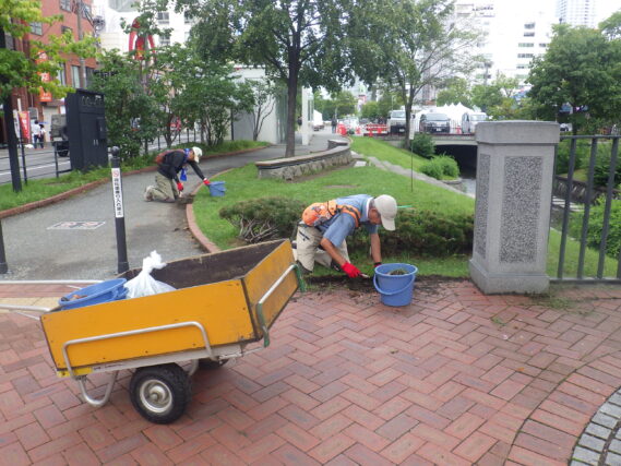 「今週の公園ボランティア」の画像