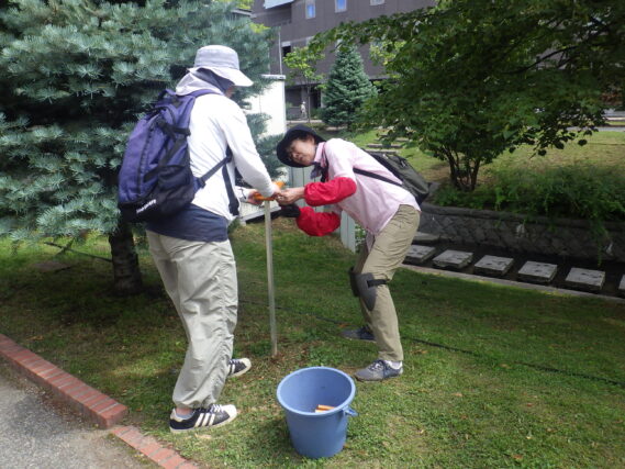 「今週の公園ボランティア」の画像