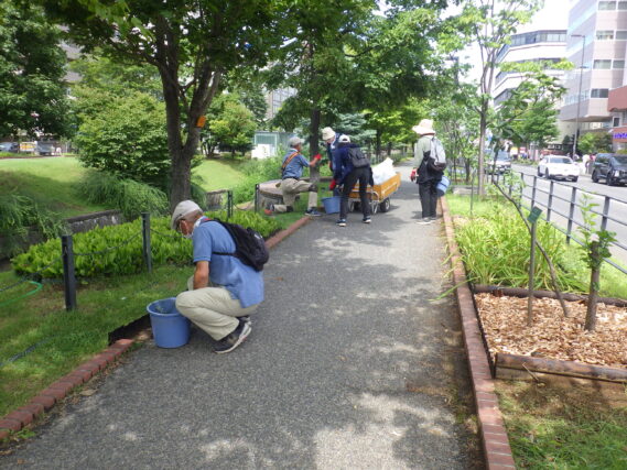 8月28日に園路の除草作業をするお助け隊