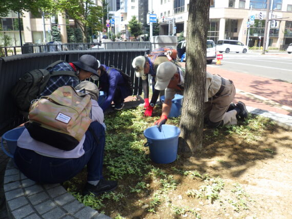 8月21日に円形ますの除草をするお助け隊