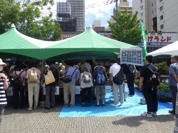 水源の森づくりのイベントの様子