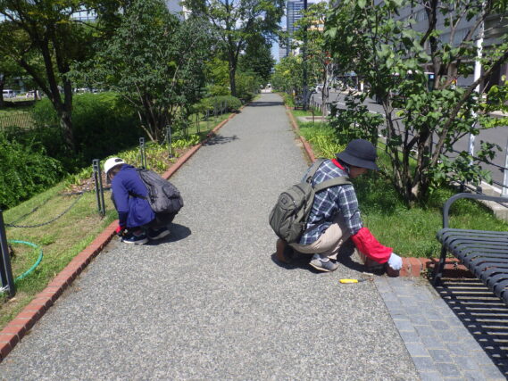 8月21日に園路の除草をするお助け隊
