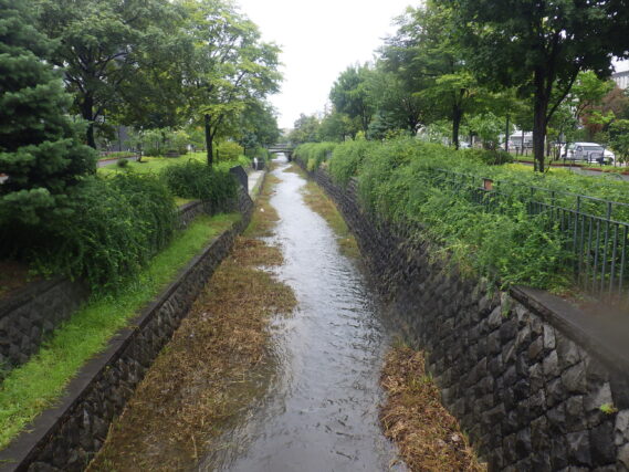 8月27日の雨降りの北1条と創成川の様子