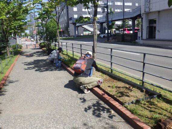 9月4日に園路の除草をするお助け隊