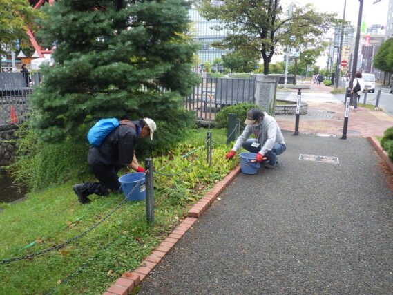 9月11日にスズラン花壇の除草をするお助け隊