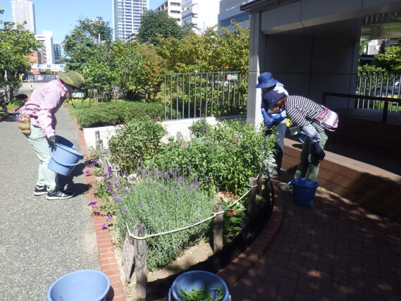 コンテナ花壇のお手入れをする花くらぶの様子