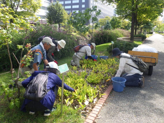 園路や花壇の除草をするお助け隊の様子