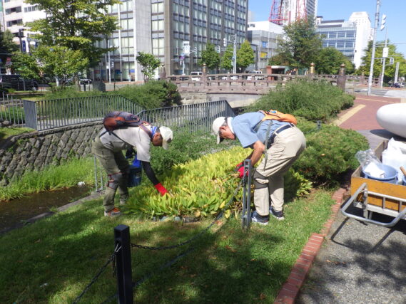園路や花壇の除草をするお助け隊の様子