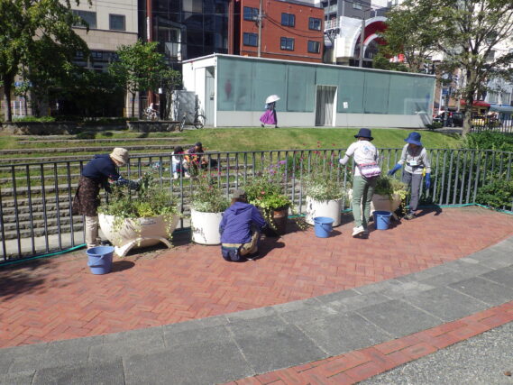 コンテナ花壇のお手入れをする花くらぶの様子