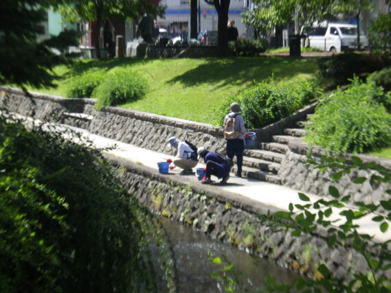 9月4日に園路の除草をするお助け隊