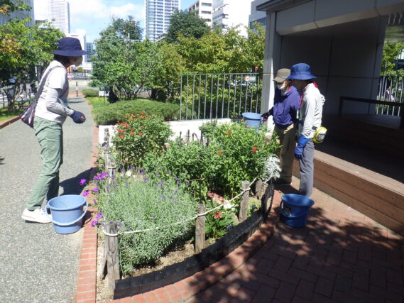 コンテナ花壇のお手入れをする花くらぶの様子