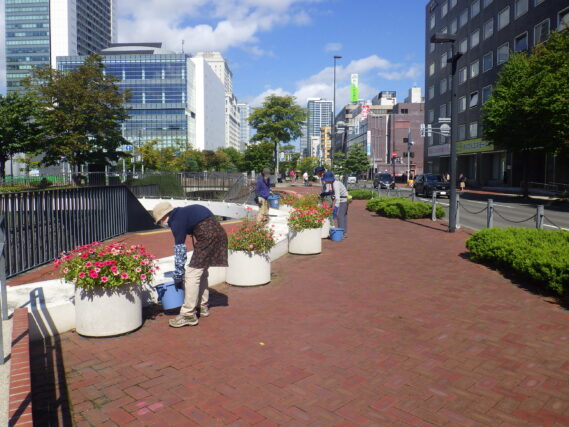 コンテナ花壇のお手入れをする花くらぶの様子