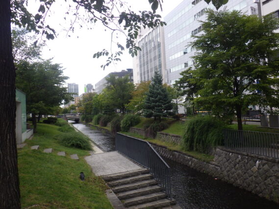 9月13日の南1条のハギの様子