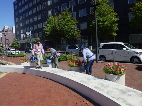 コンテナ花壇のお手入れをする花くらぶの様子