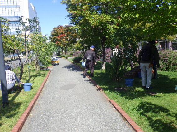 ライラックの株元除草をする植物ボランティアの様子