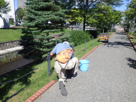 9月4日に園路の除草をするお助け隊