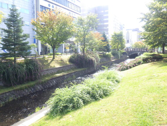 南1条のハギの様子