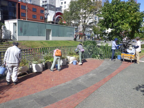 コンテナ花壇のお手入れをする花くらぶの様子