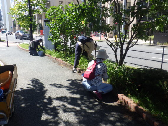 「9月前半の公園ボランティア」の画像