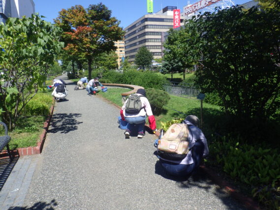 9月4日に園路の除草をするお助け隊