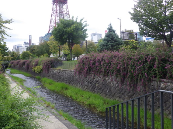 「9月後半の公園ボランティア」の画像